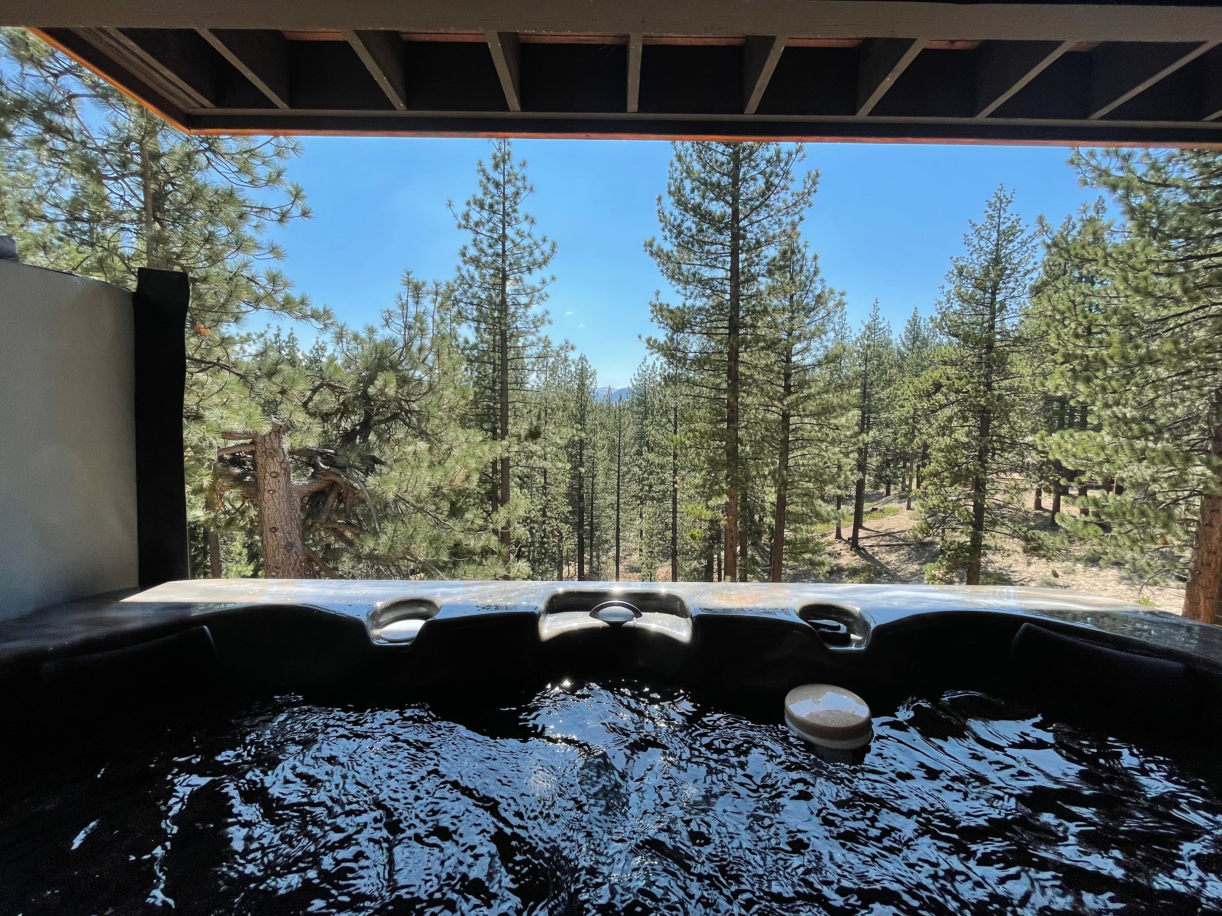 View from the perspective of sitting in the hot tube, looking out at trees.