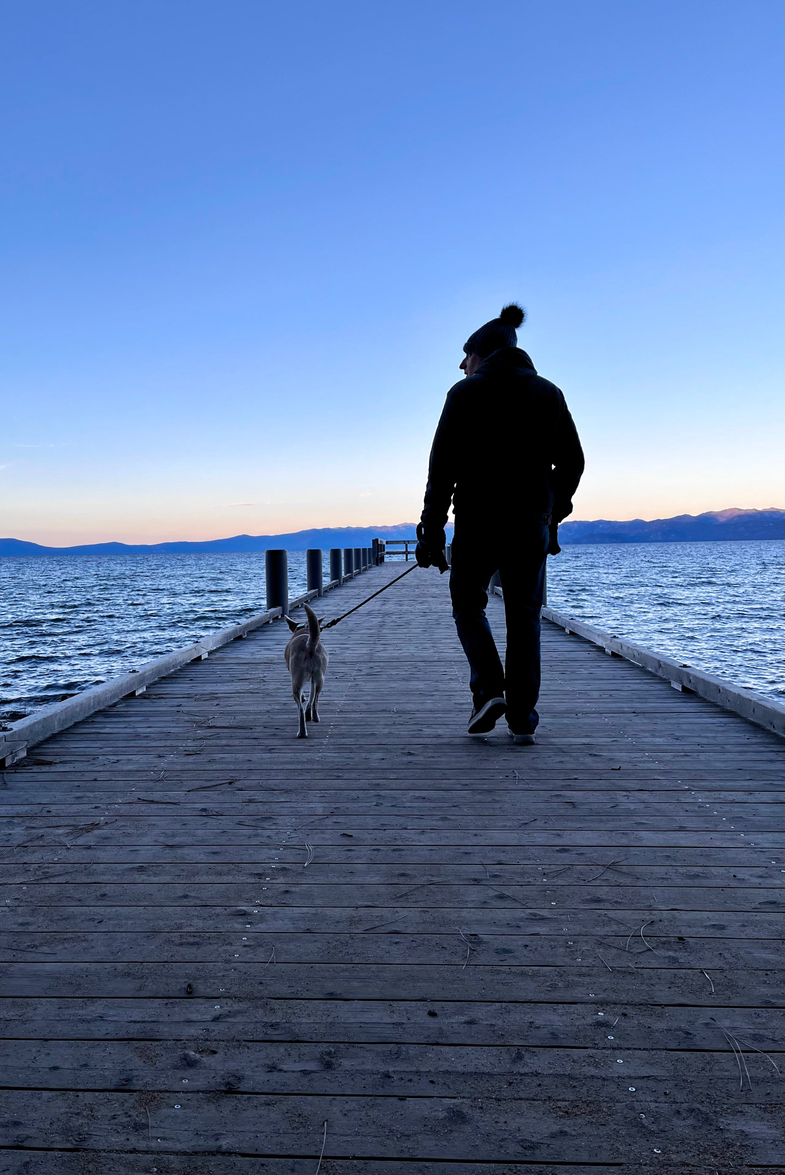 A man and a dog walking alone down a boat dock.