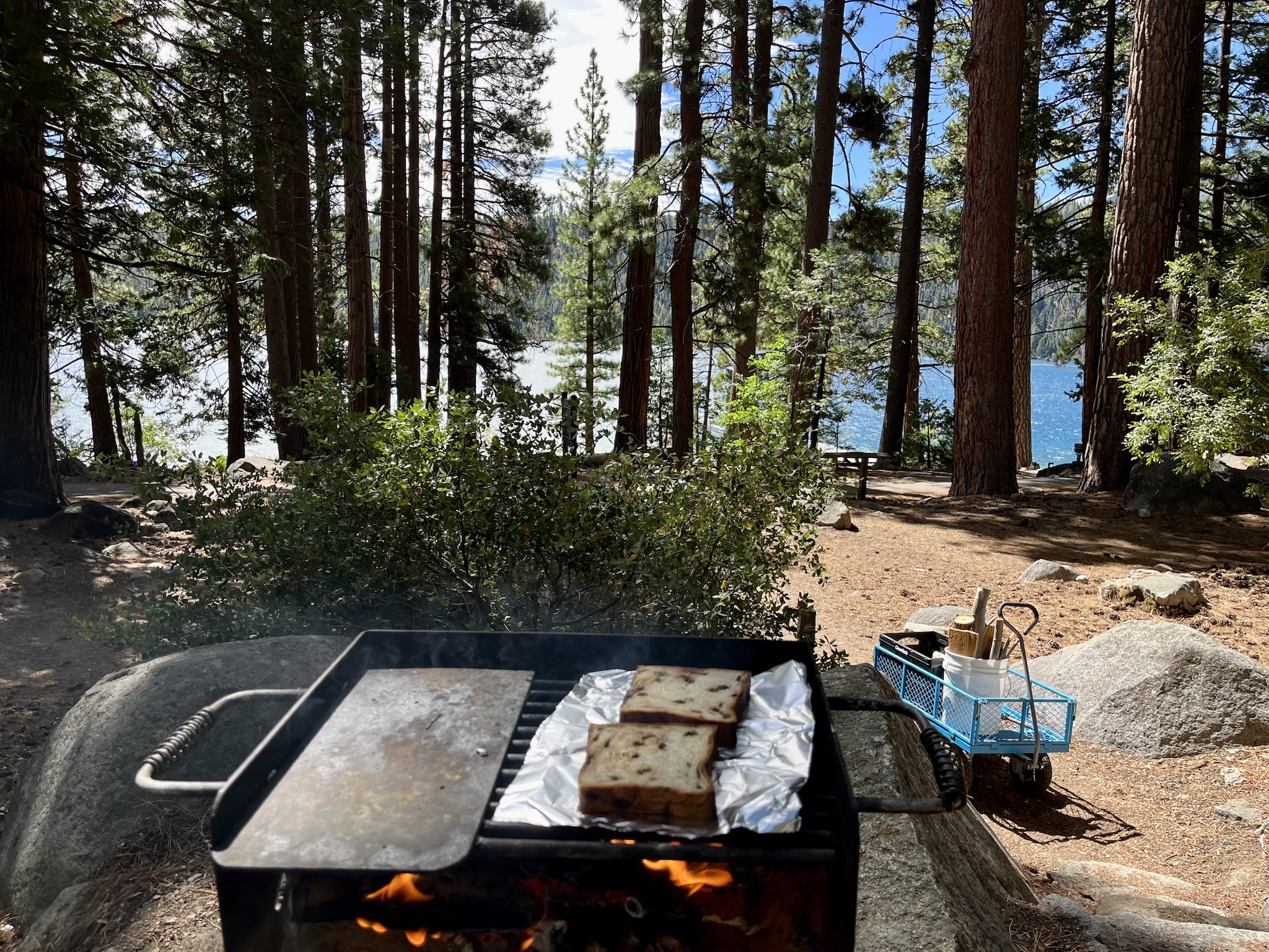 Two pieces of chocolate chip bread sitting on some aluminium foil above a grill. The picture looks out through a bunch of pine tree trunks onto a lake.