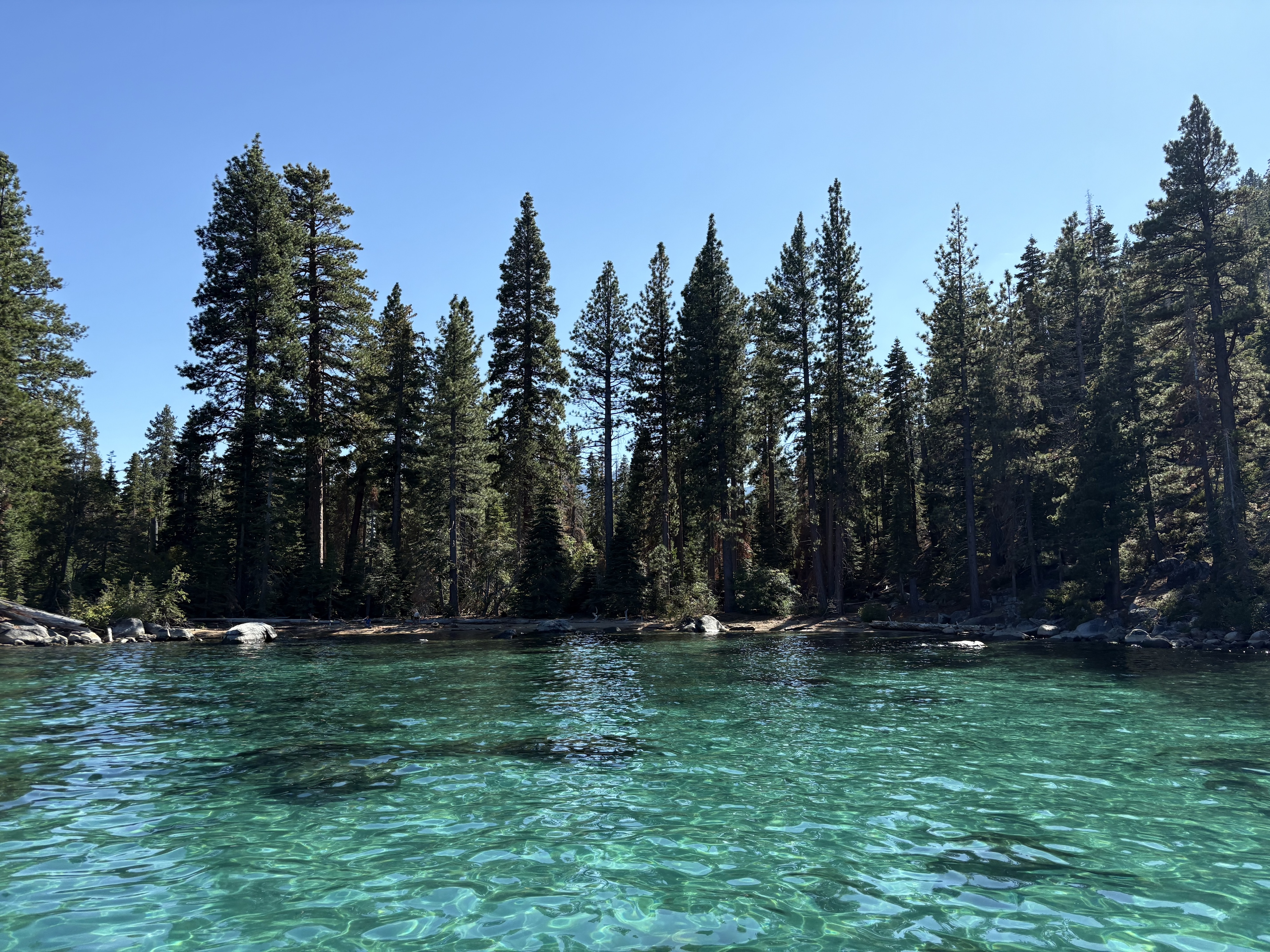 A small lakeside beach, with blue-green water and pine trees surrounding the shore.