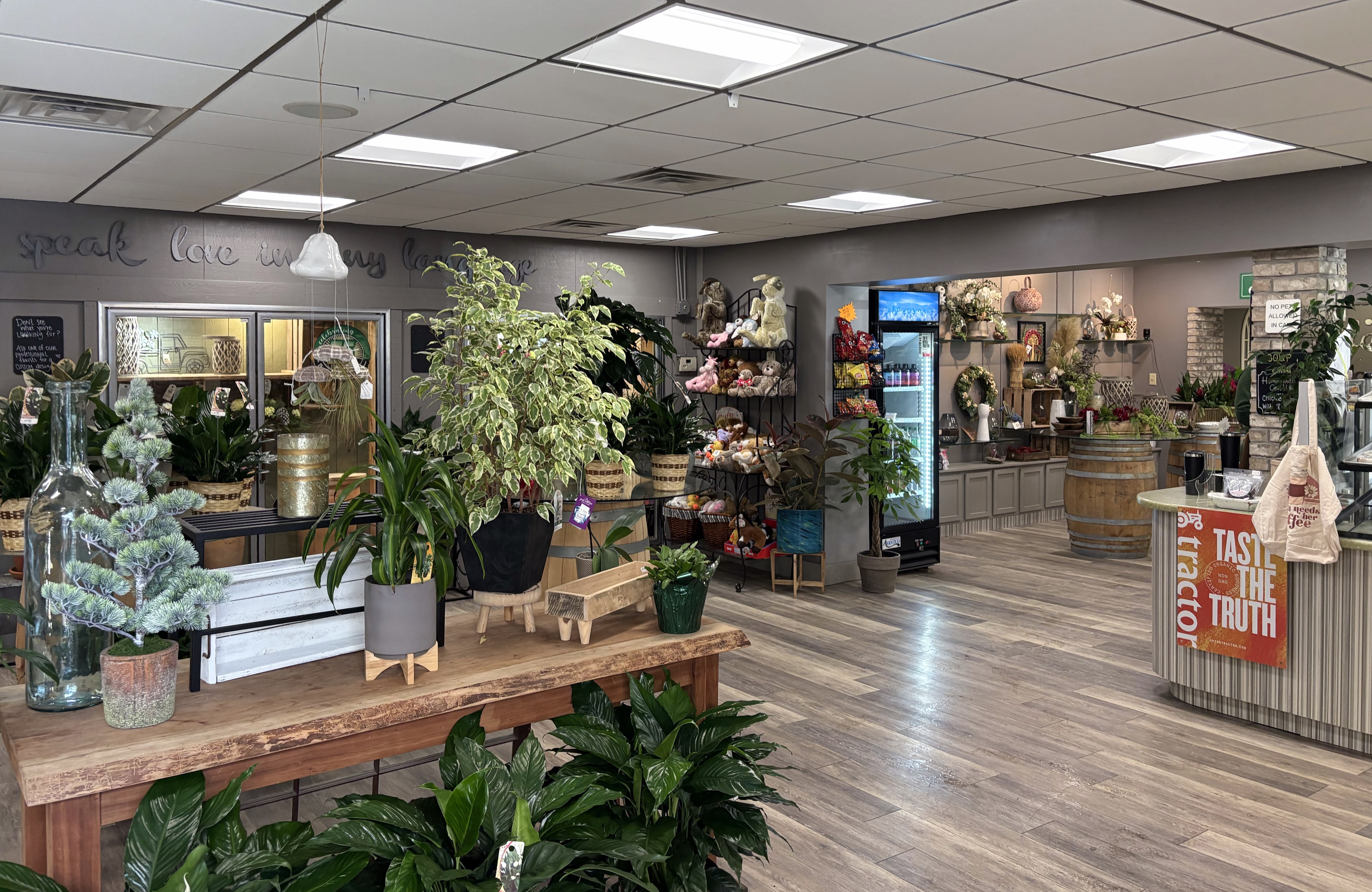 Inside of a store, with potted plants arranged on the floor, wall, and tables.