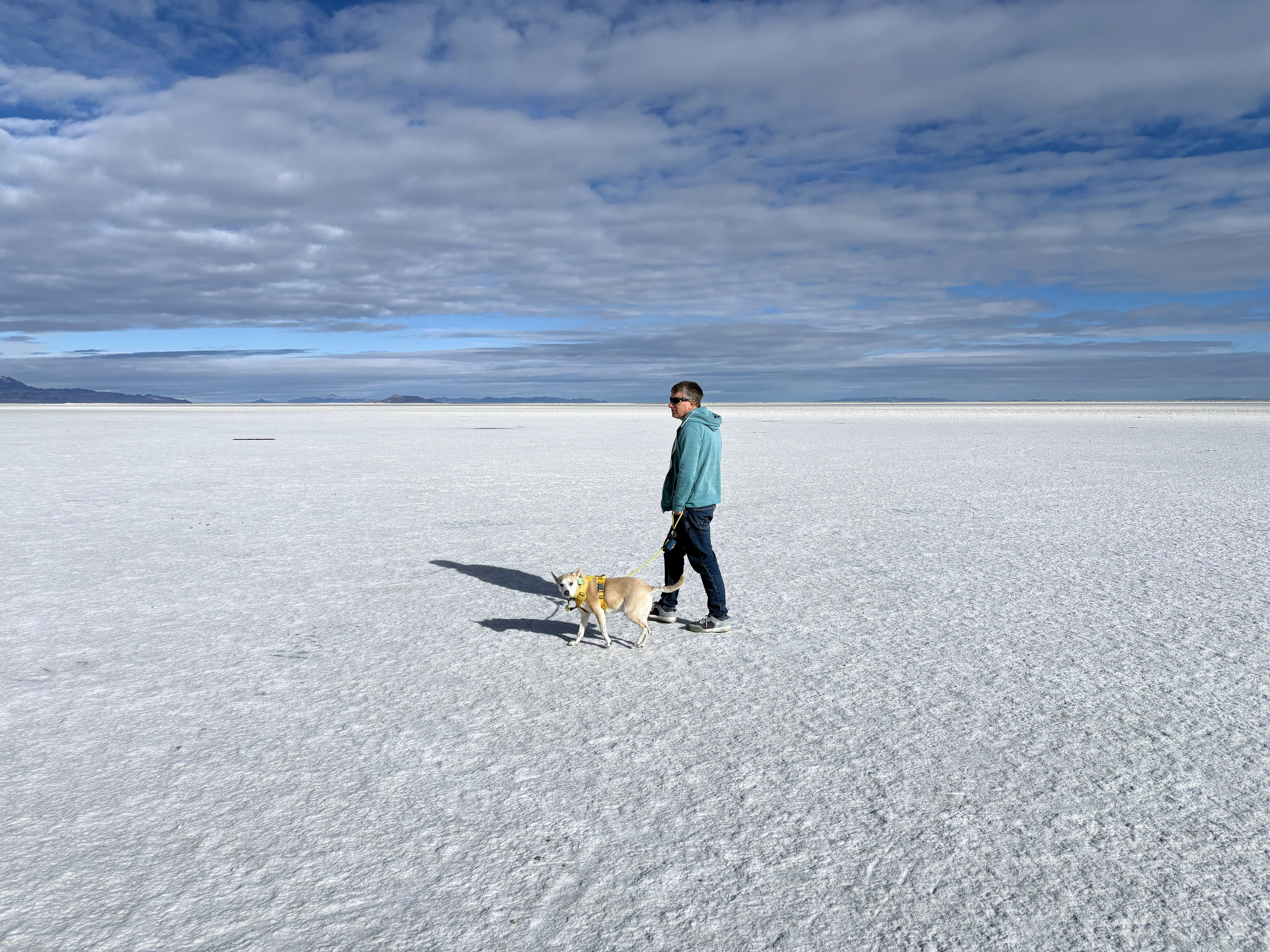 Person and a dog walking on salt flats. The ground is stark white and heavily textured salt. There is nothing in the distance as far as can be seen.